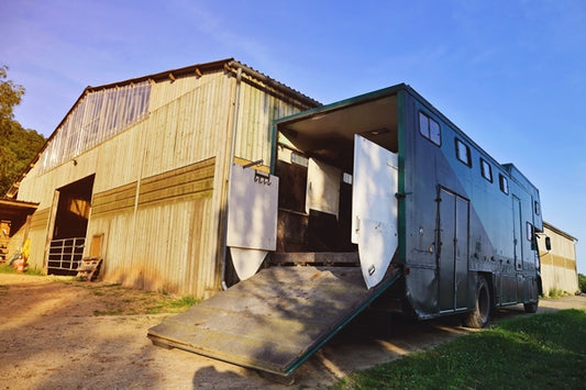 Reinigungsmittel für Pferdeanhänger, Pferdetransporter & Horsetrucks