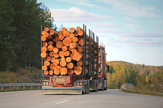 Reinigungsmittel für Holztransporter-LKW, Schreinerei & Zimmerei